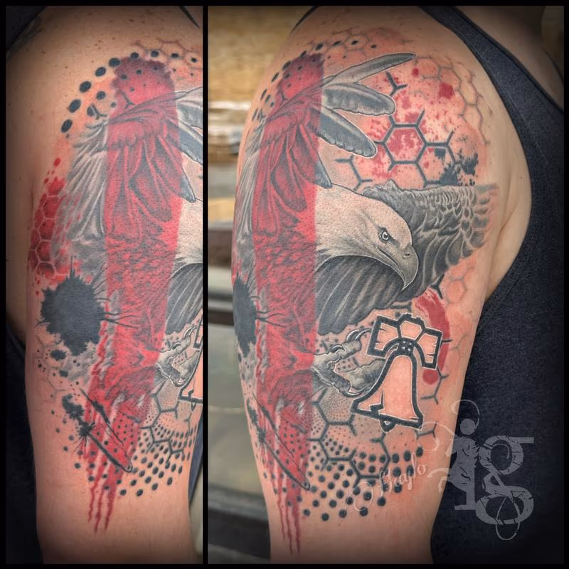 Trash-Polka Bald Eagle by Haylo