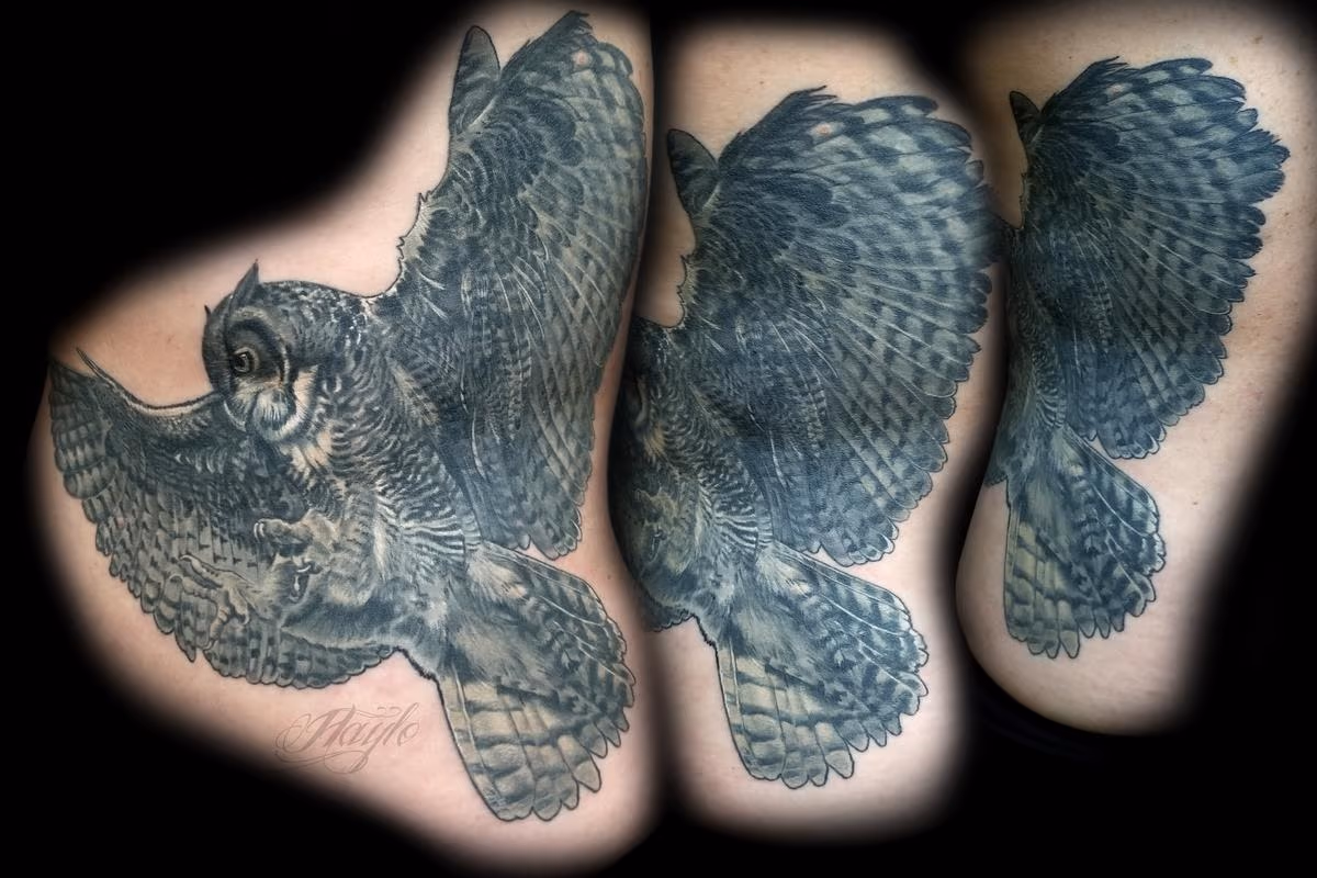 Black and Gray realistic owl rib piece