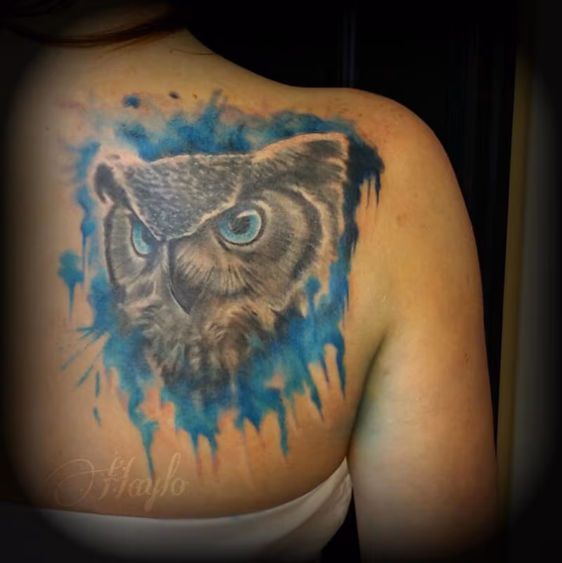 Cover up of Realistic Owl face with watercolor
