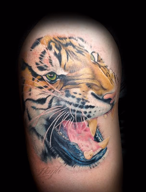 Bengal Tiger Shoulder piece