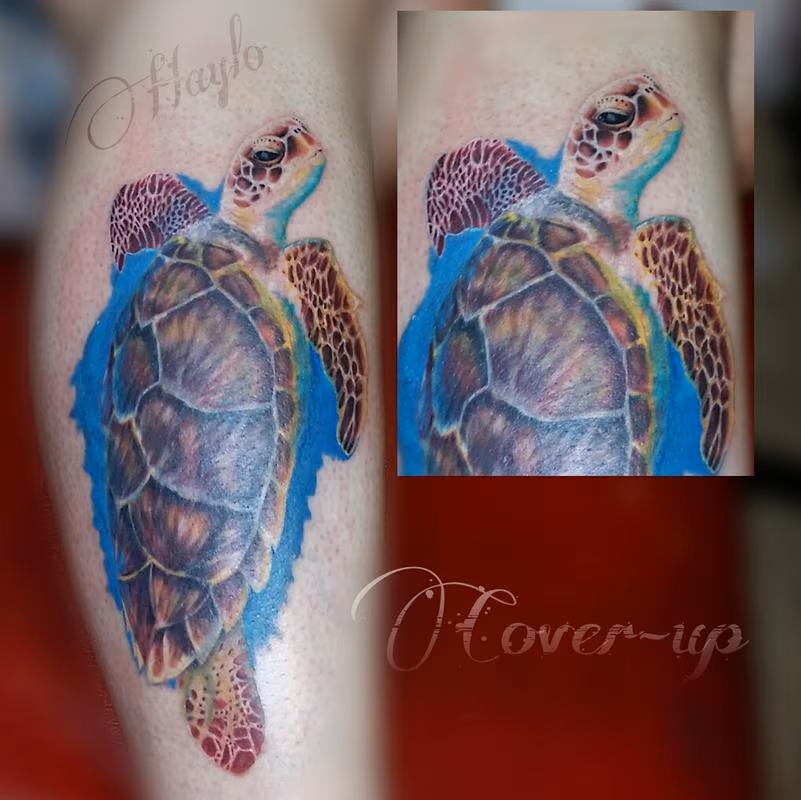 Realistic Turtle cover up