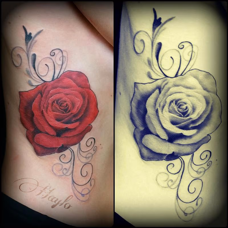 Realistic style rose with black and gray swirls