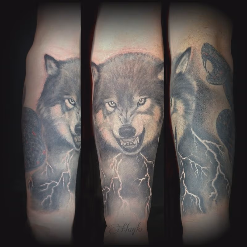 Wolf rework tattoo by Haylo
