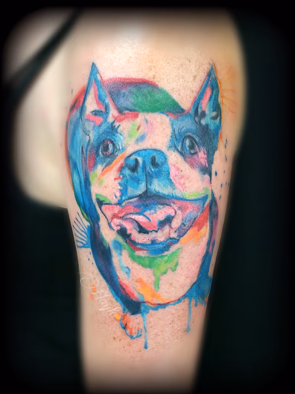 Watercolor Boston Terrier Dog tattoo