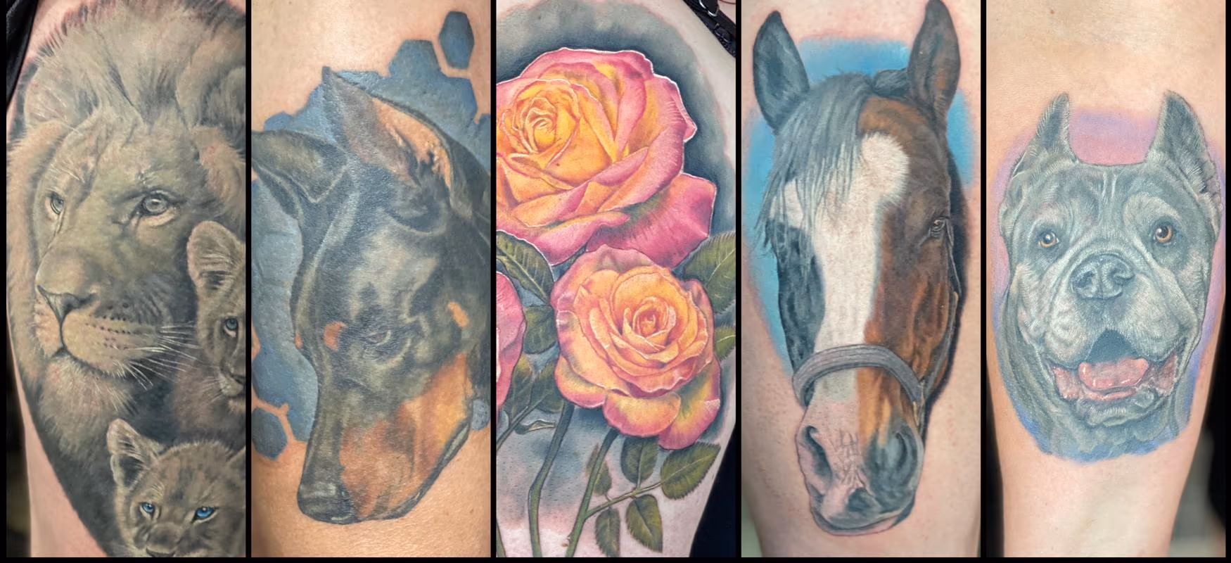 Tattoos by Haylo