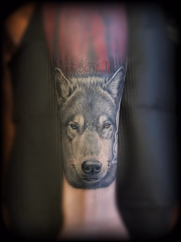 Wolf tattoo by Haylo
