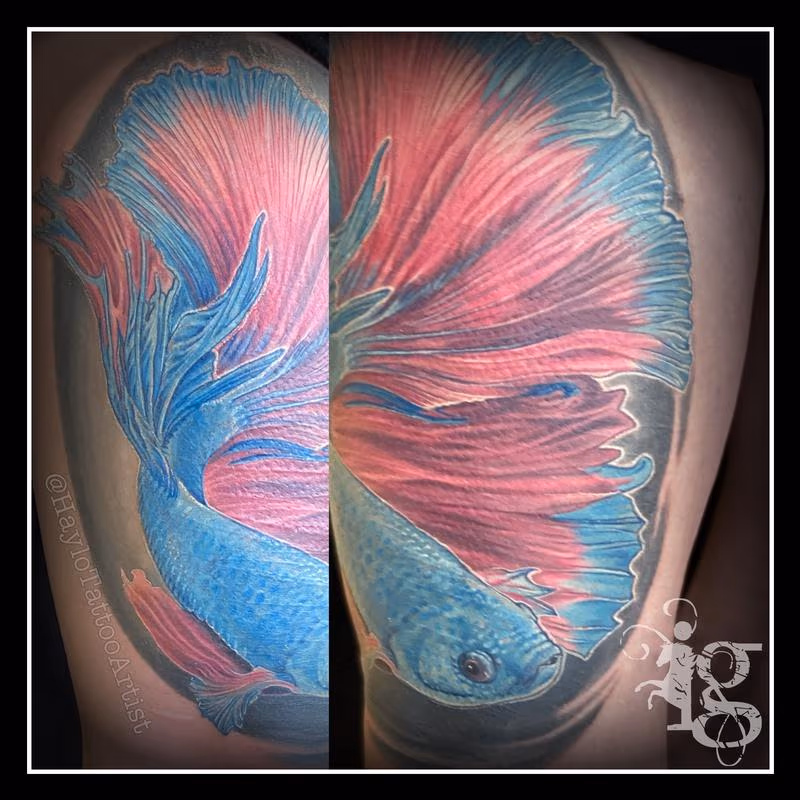 Betta Fish tattoo by Haylo - cover-up of SH scars