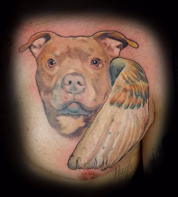 Pit bull memorial portrait with wings tattoo