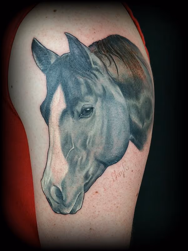 Horse portrait tattoo