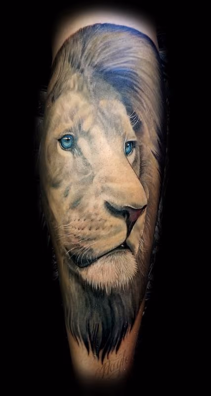 Realistic African Male Lion calf piece