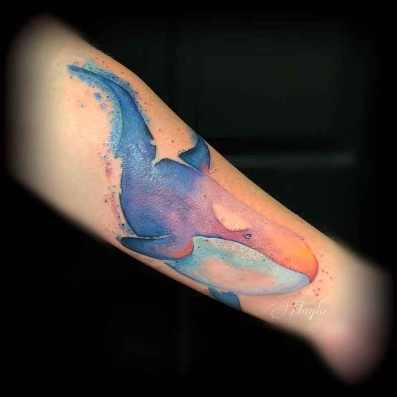Killer Whale watercolor arm tattoo by Haylo