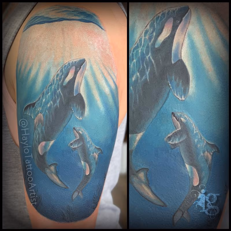 Orca Cow and Calf half sleeve tattoo by Haylo