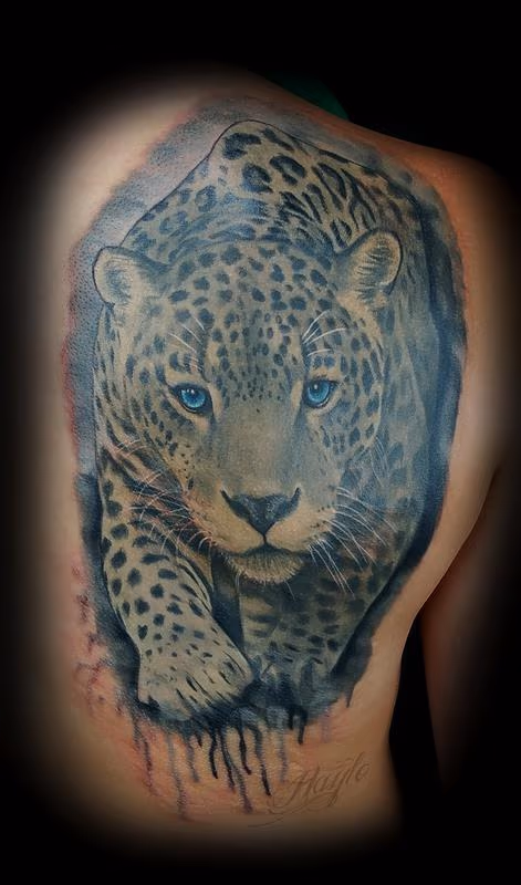 Realistic style Black and gray Jaguar with watercolor accents