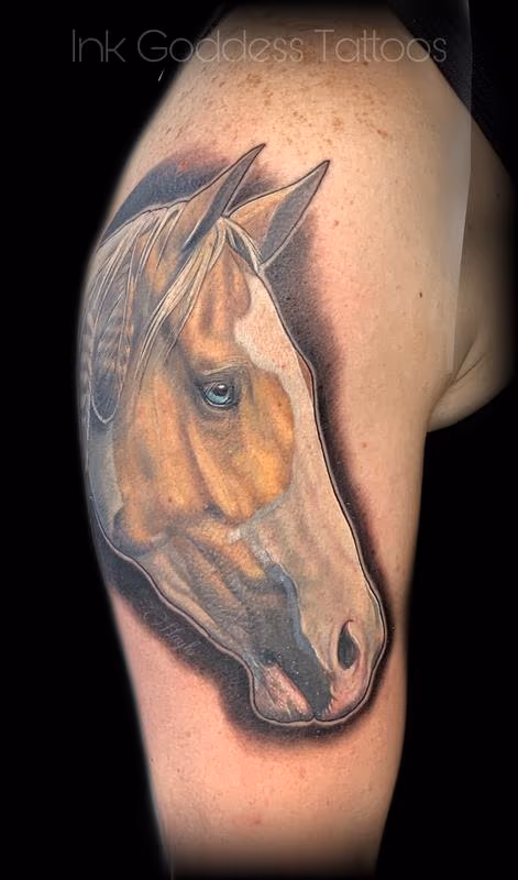 Palomino paint horse portrait