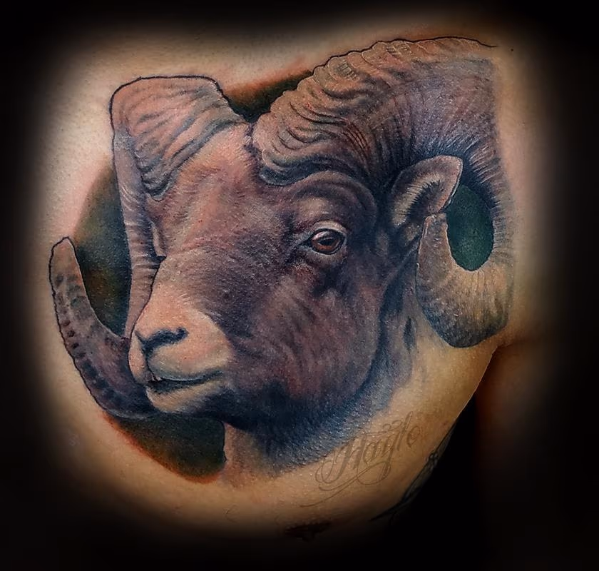 Realistic Big Horn Sheep chest piece