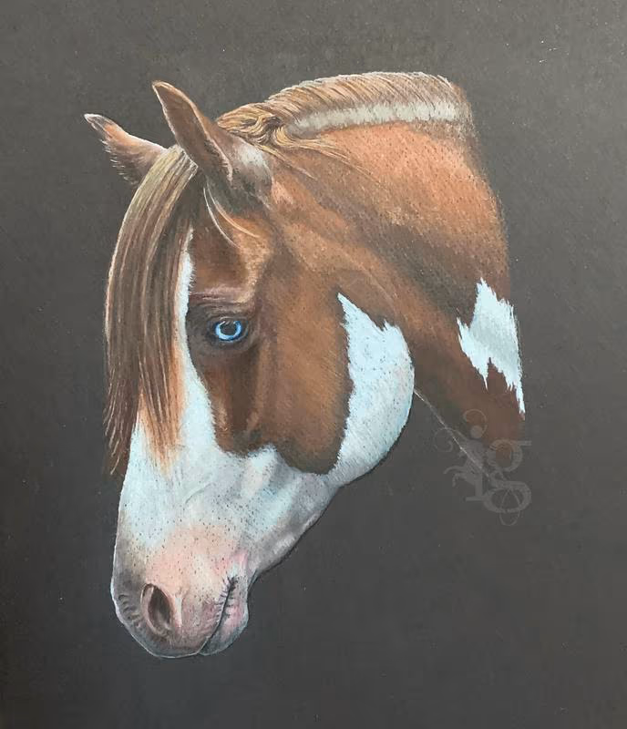Prismacolor Horse Drawing by Haylo