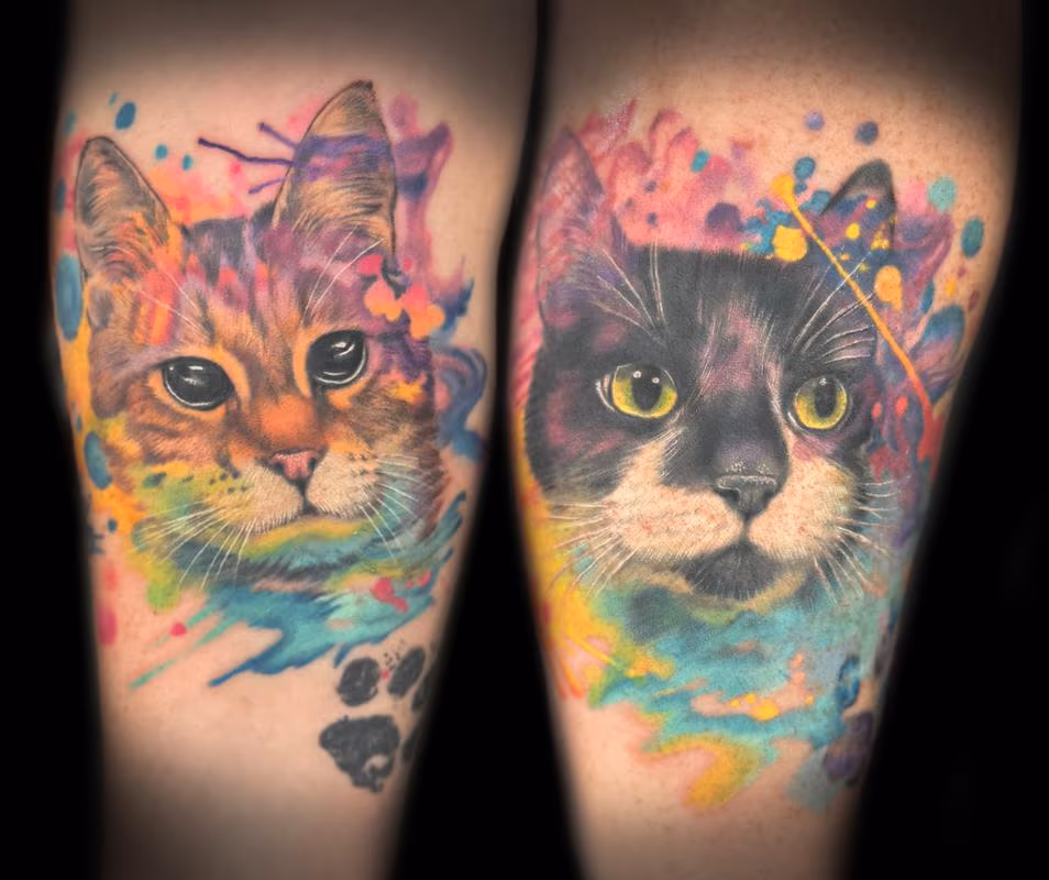 Infusion style cats: Radar and Tiberius