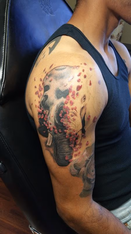 Elephant skull and rose petals progression Tattoo by Haylo