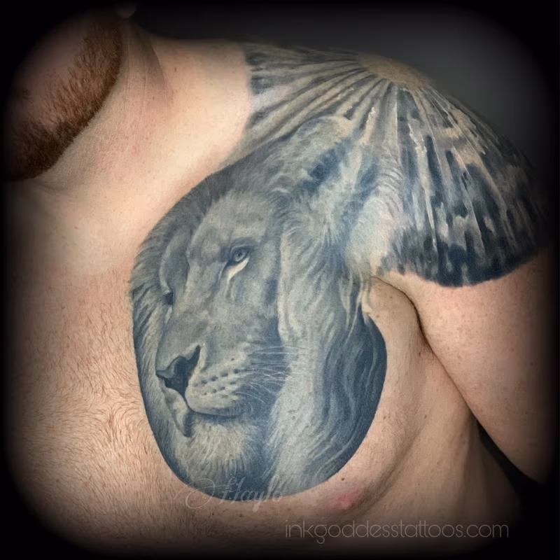 Black and Gray Lion portrait by Haylo
