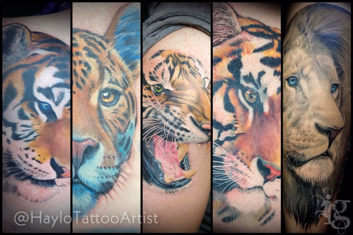 Big Cat full color tattoos by Haylo