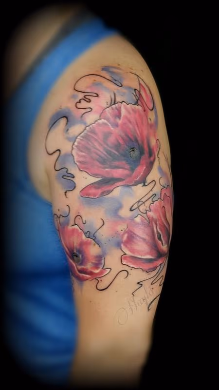 Watercolor with Realistic Poppy flowers by Haylo