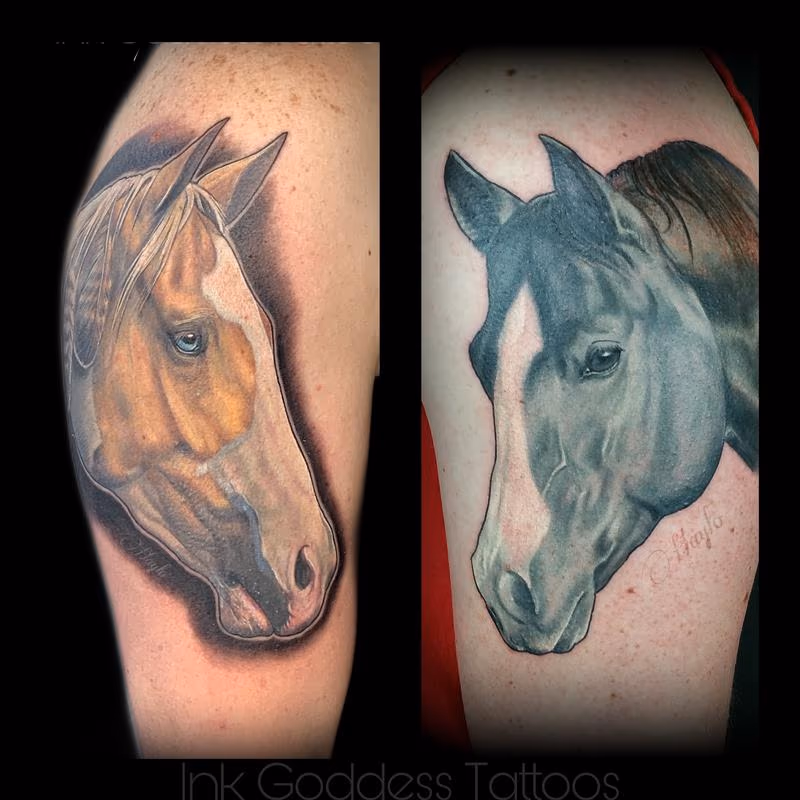Horse portrait tattoos by Haylo
