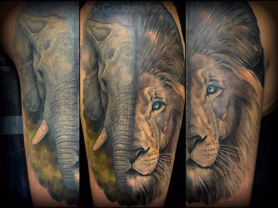 Elephant and Lion half sleeve by Haylo