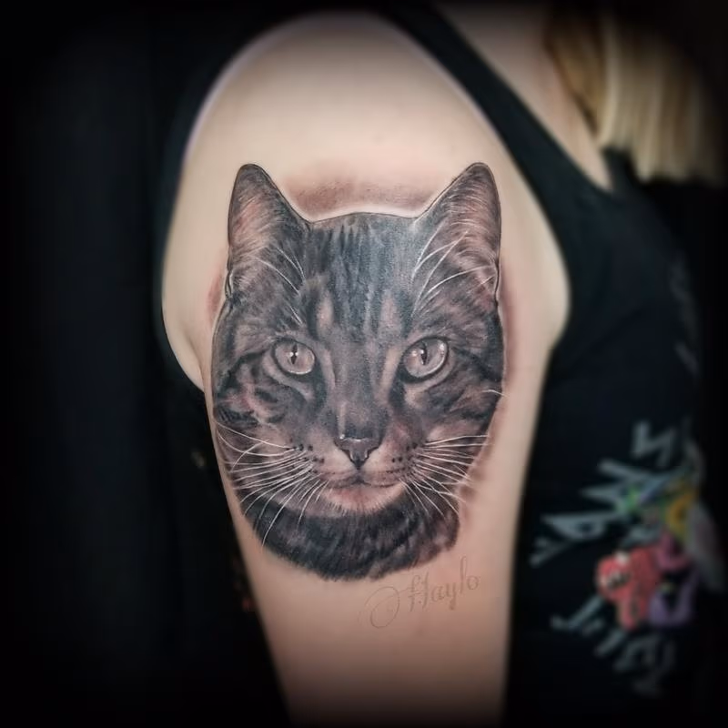 Cat Portrait tattoo by Haylo