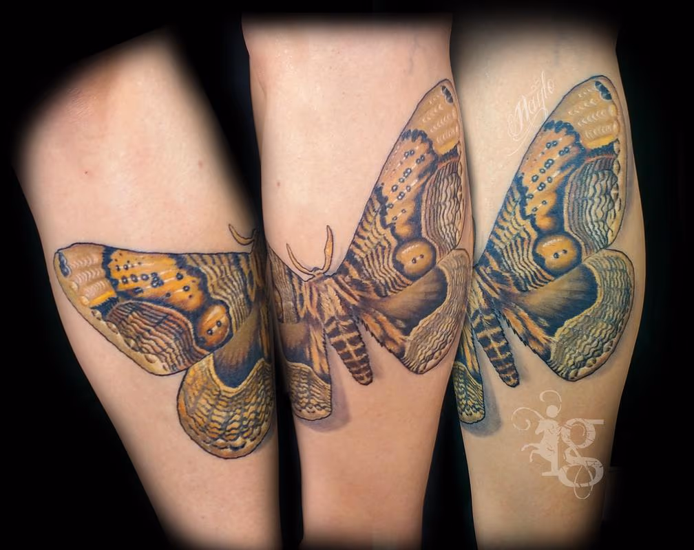 Giant Moth leg tattoo by Haylo