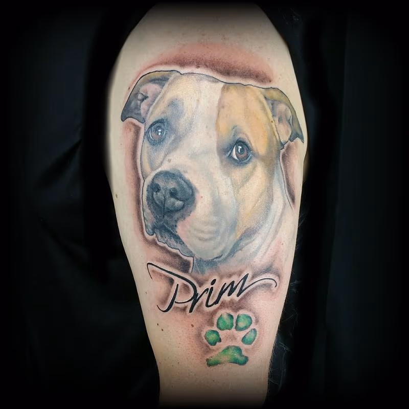 Pit bull portrait tattoo