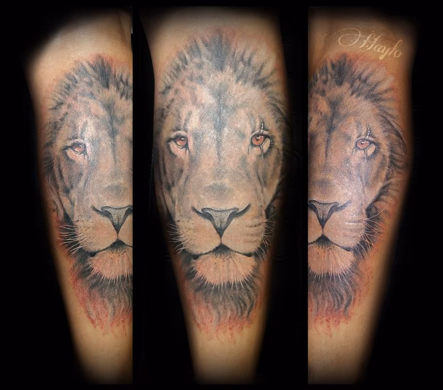 Lion with fire eyes