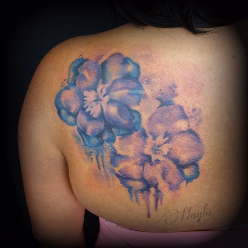 Watercolor Larkspur By Haylo