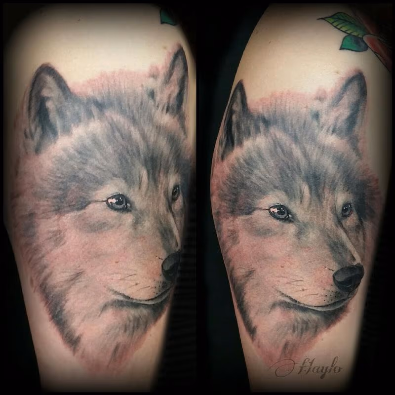 Realistic style black and gray wolf half sleeve tattoo