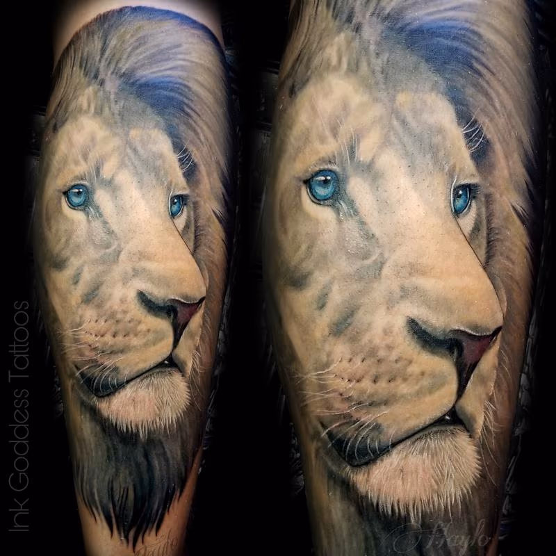 Lion leg tattoo by Haylo