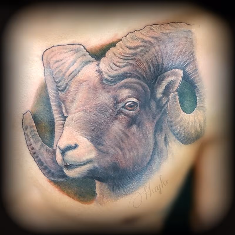 Big horn sheep / ram tattoo