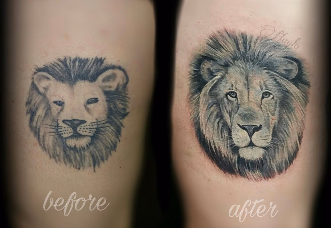 Realistic Black and Gray lion cover up