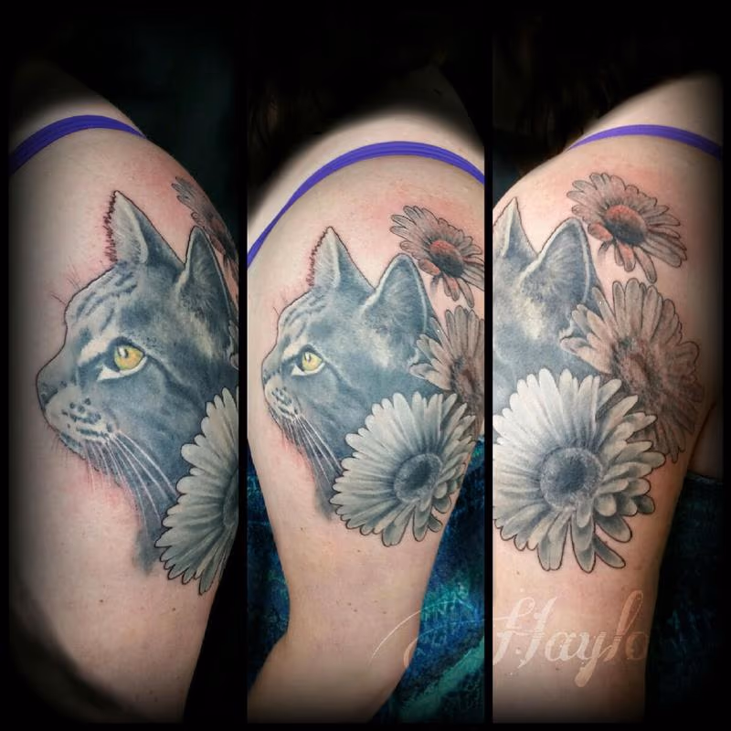 Cat portrait with surrounding daisies in black and gray