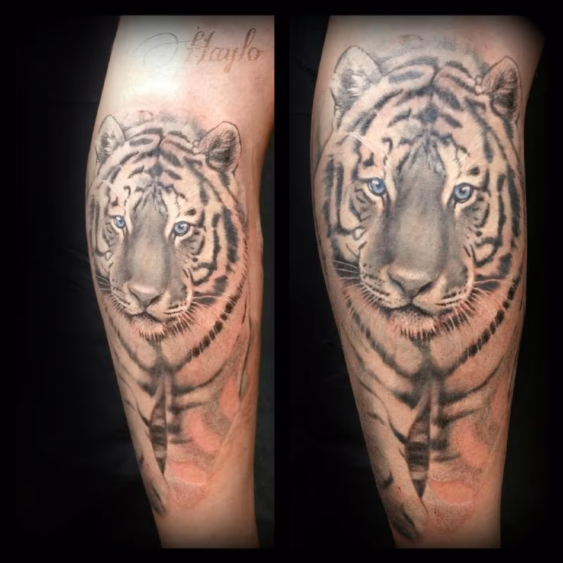 Realistic black and gray tiger piece with blue eyes