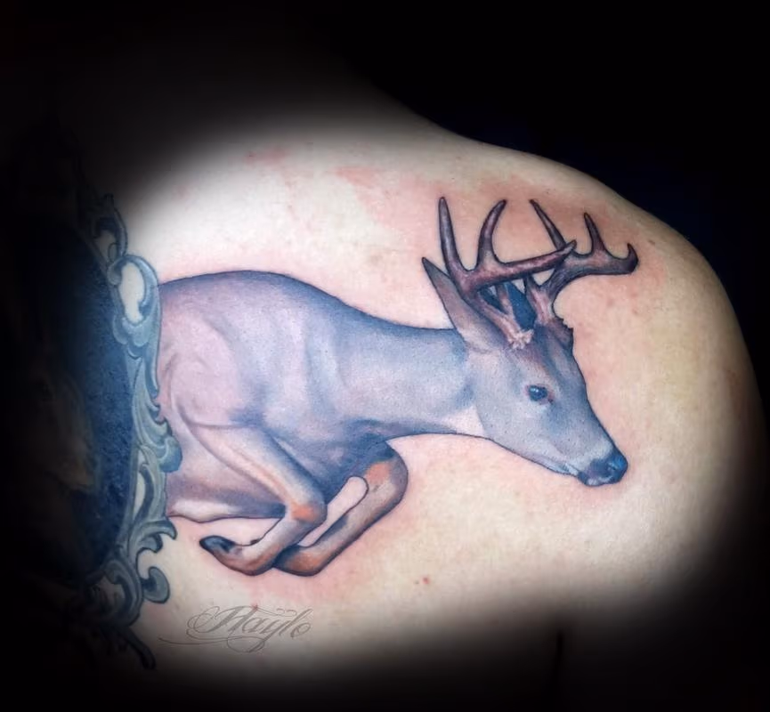 Deer / stag tattoo by Haylo