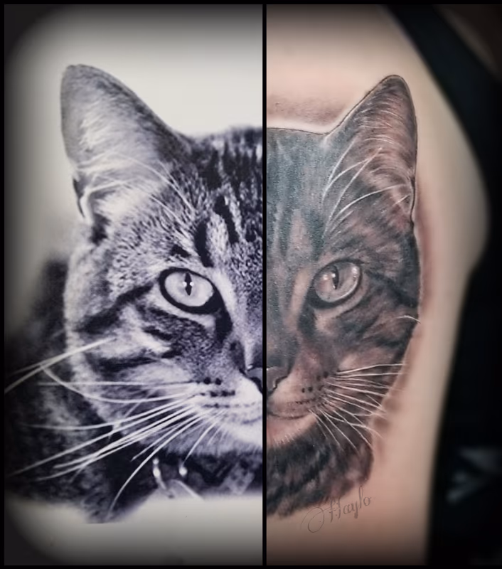 Black and Gray Cat portrait tattoo by Haylo