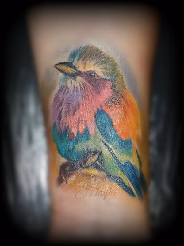 Bird wrist cover up