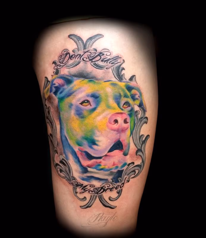 Watercolor Pit Bull portrait by Haylo
