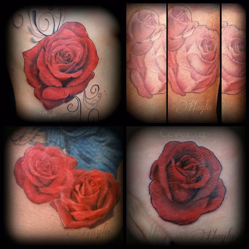 Collaboration of Realistic style roses