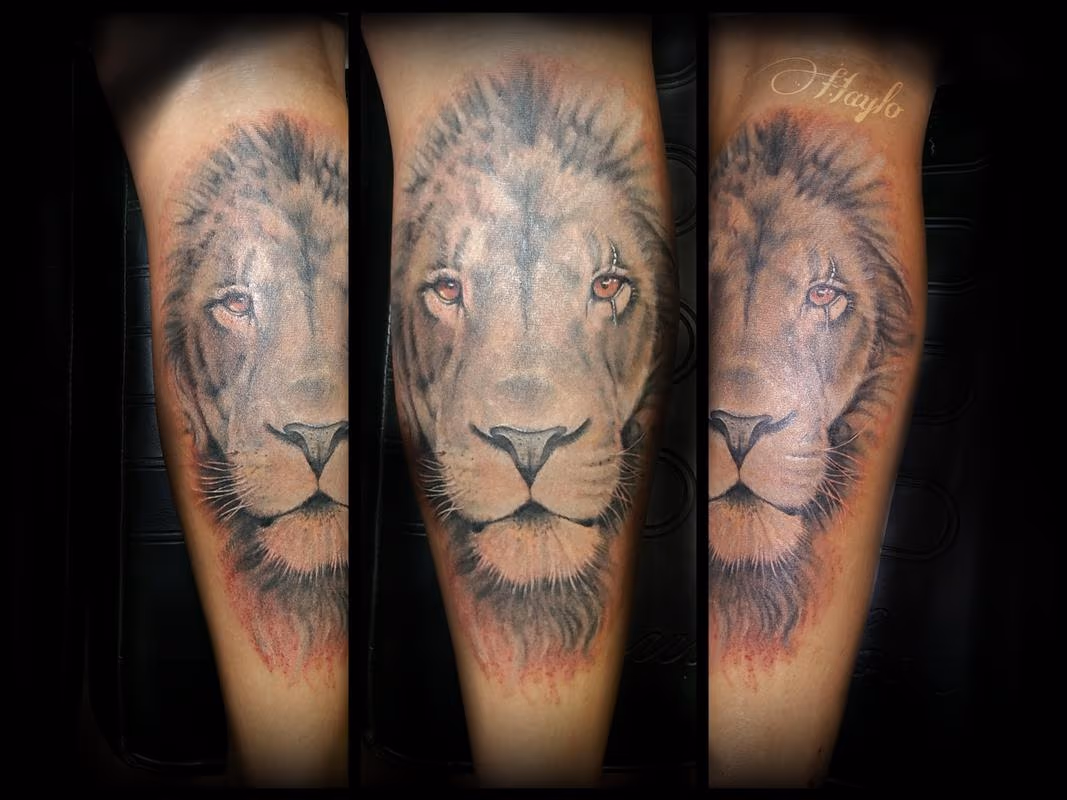 Realistic Lion Head in Black and Gray, leg tattoo