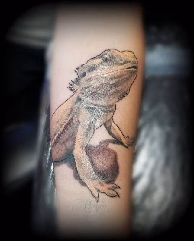 Bearded Dragon forearm tattoo by Haylo