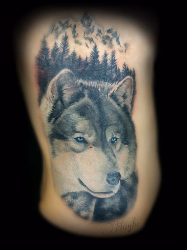 Wolf and mountain scene tattoo in progress