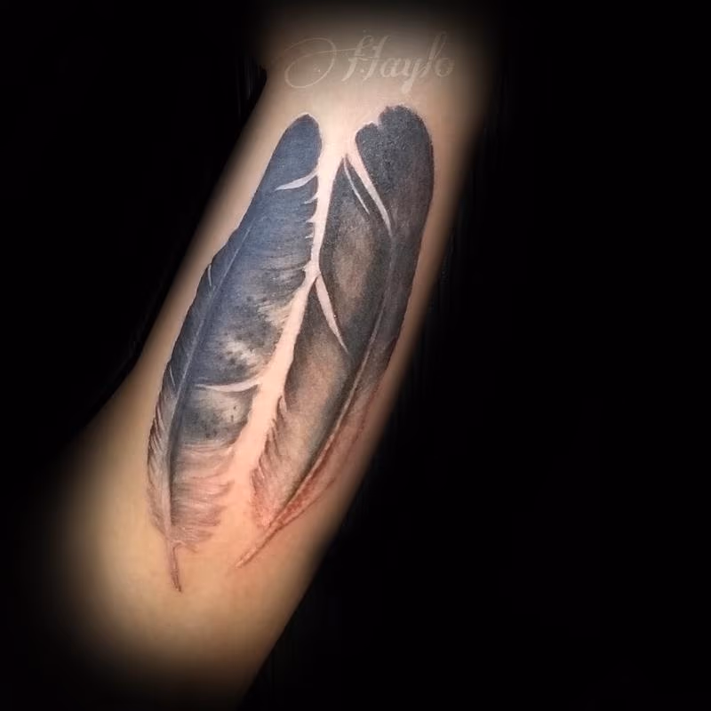 Eagle Feathers by Haylo