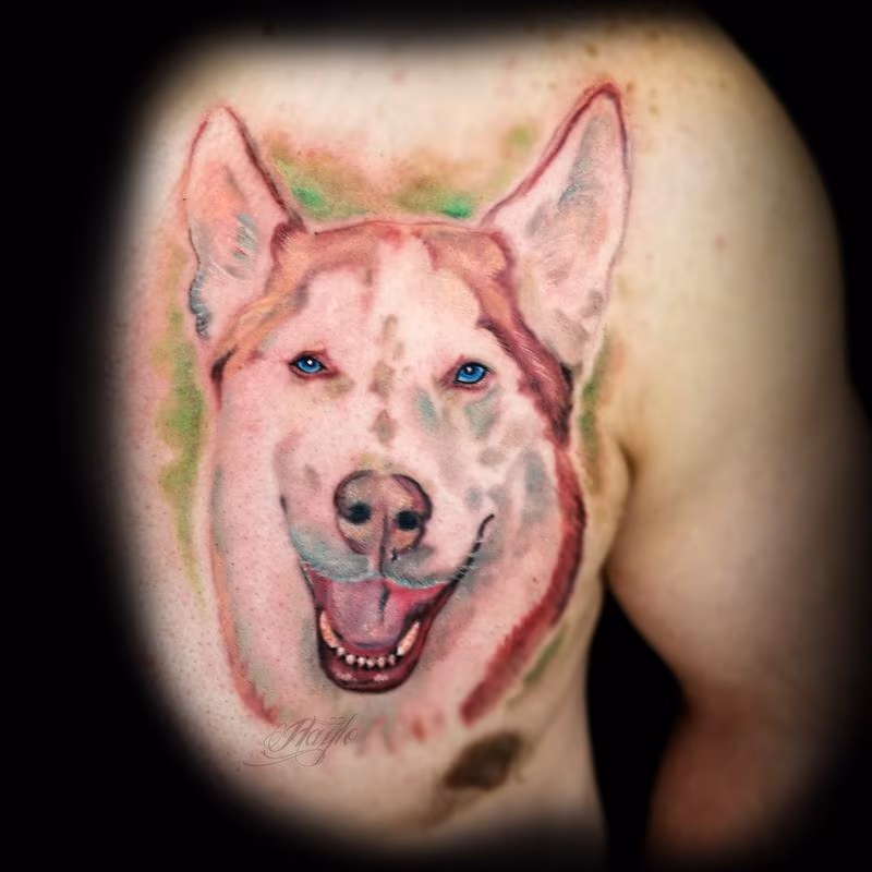 Watercolor style red Siberian Husky chest piece