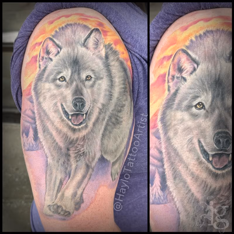 Wolf full color half sleeve Tattoo by Haylo