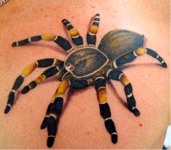 Realistic Spider Tattoo